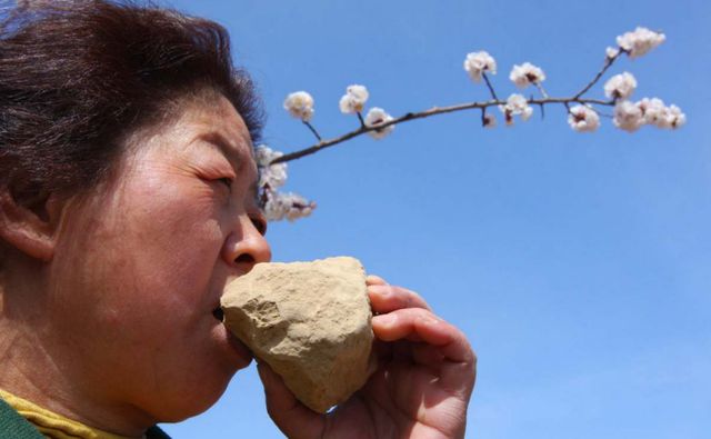 呼和浩特秋實中學招生2020_呼和浩特秋實中學招生簡章_呼和浩特市秋實中學