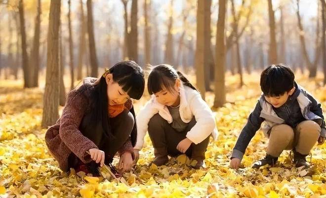 國際學(xué)校學(xué)費_學(xué)費國際學(xué)校怎么交_國際學(xué)校的學(xué)費
