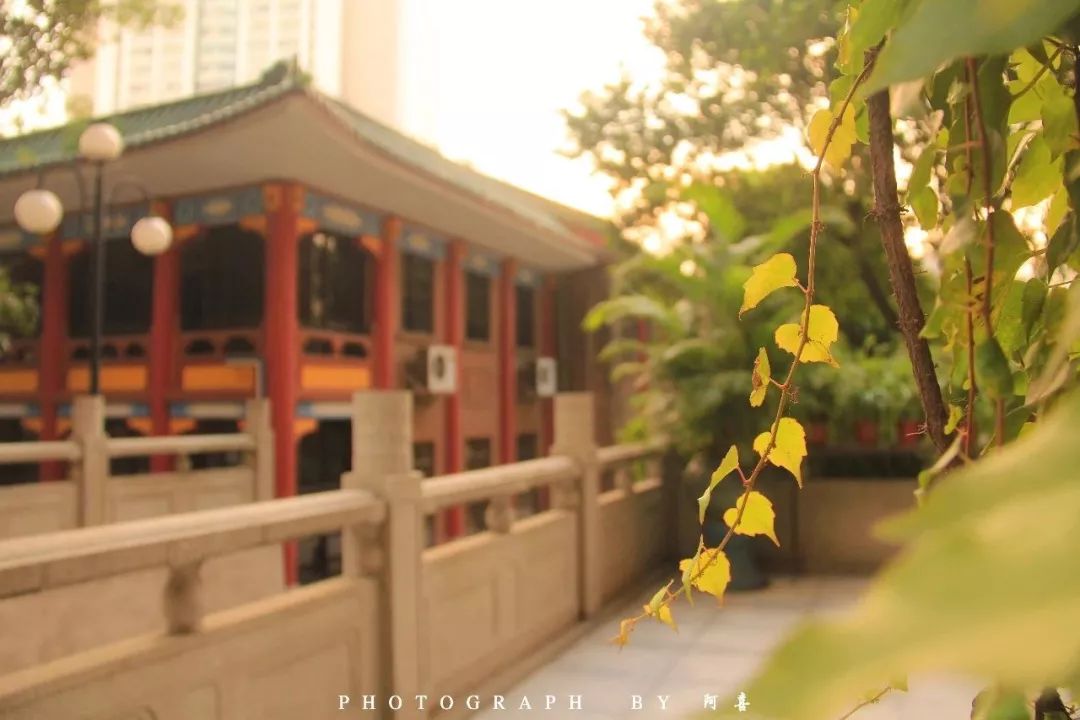 廣州市執信中學2022_廣州市執信中學初中排名第幾_廣州市執信中學