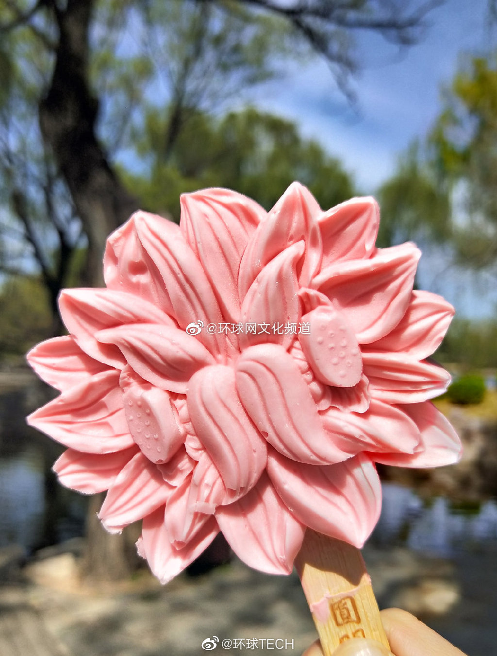 甘露園小學(xué)_甘露園小學(xué)地址_甘露園小學(xué)怎么樣