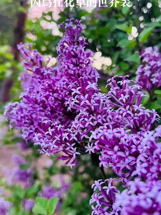 永清一中多大_永清一中改名了_永清一中