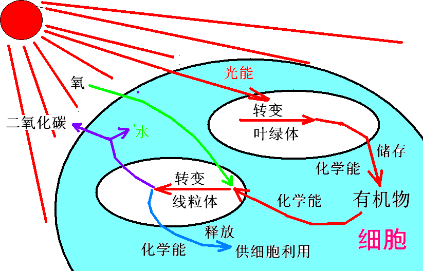 青海又什么大學(xué)_青海全部大學(xué)排名_青海大學(xué)怎么樣