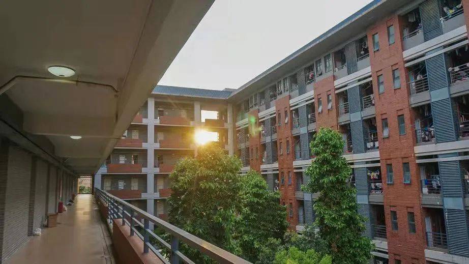 廣東財經(jīng)大學華商學院_廣東財經(jīng)大學華商學院百度百科_廣東財經(jīng)大學華商學院簡介
