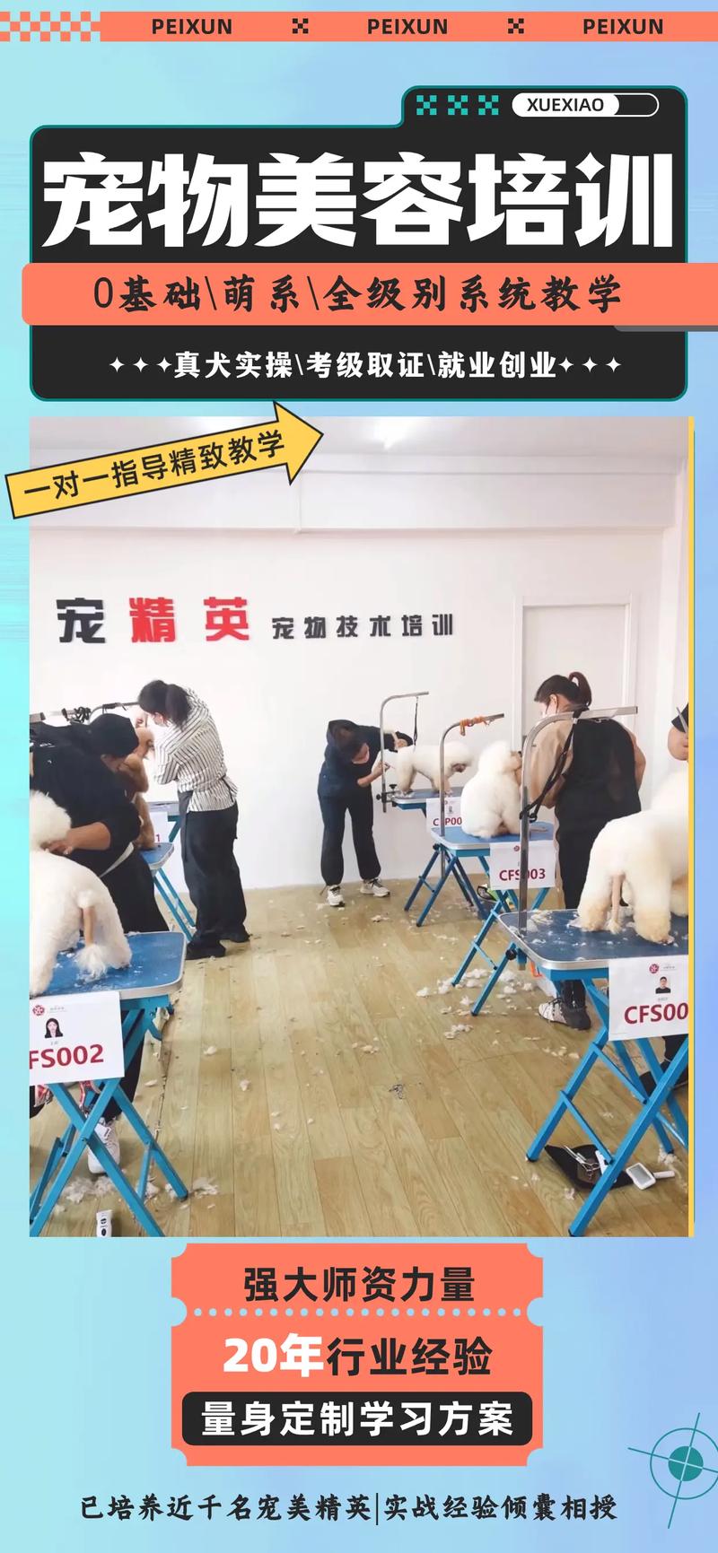 培訓(xùn)美容師學(xué)校好做嗎_美容師培訓(xùn)學(xué)校哪家好_培訓(xùn)美容師學(xué)校好嗎