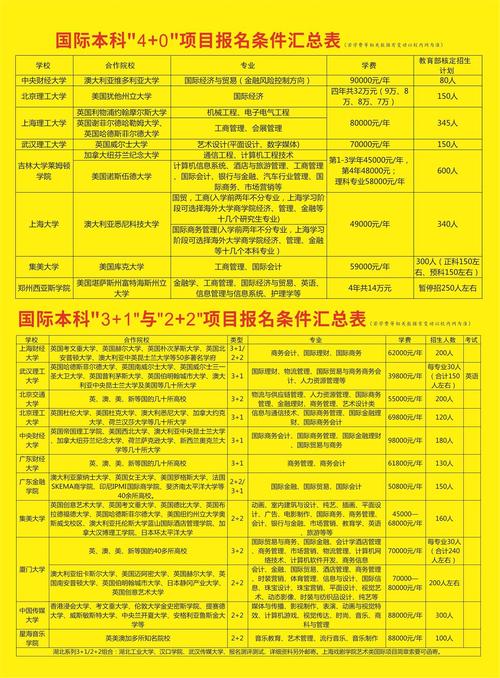國語招生海外大學網上報名_上海外國語大學招生網_海外招生簡章