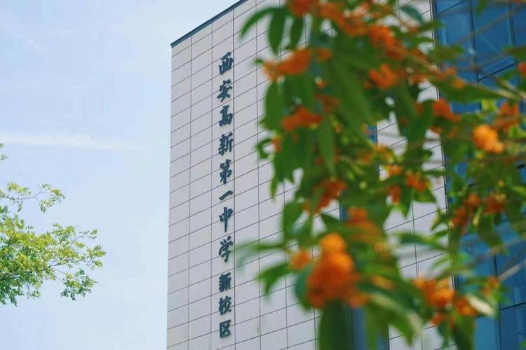 西安市衛(wèi)生學(xué)校_西安市衛(wèi)生學(xué)校宣傳片_西安市衛(wèi)生學(xué)校官網(wǎng)電腦版
