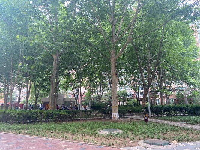 魏公村小學(xué)_魏公村小區(qū)上哪所小學(xué)_魏公村小學(xué)招生簡(jiǎn)章
