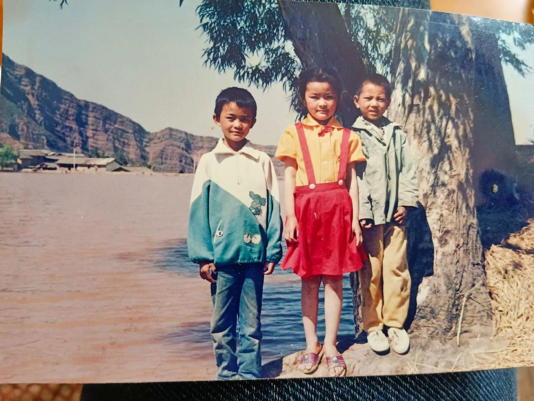 魏公村小學(xué)_魏公村小學(xué)招生簡(jiǎn)章_魏公村小區(qū)上哪所小學(xué)
