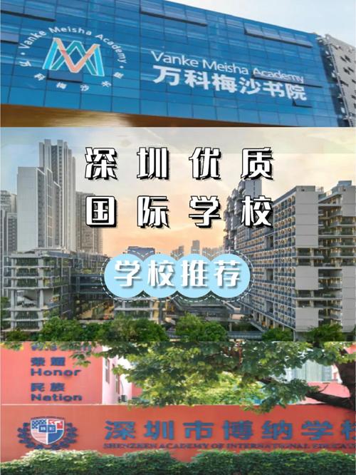 深圳國際交通學校_深國交國際學校地址_深圳深國交國際學校