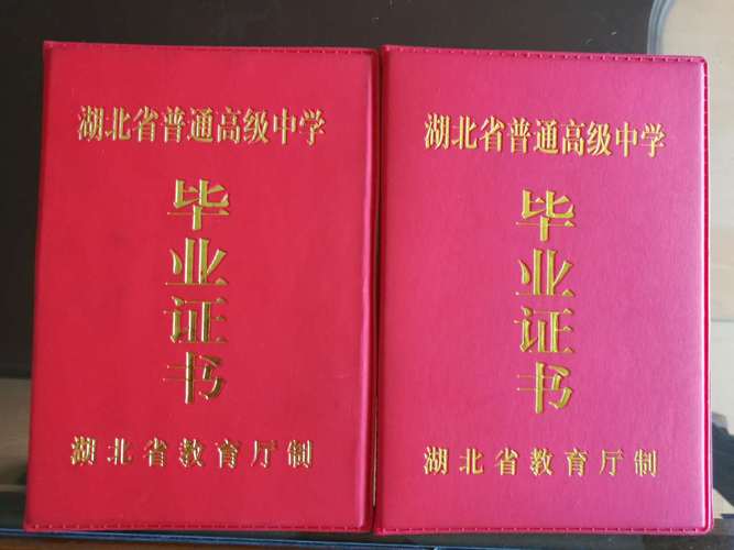 初中學號查詢_查初中生學籍號查詢_學號怎么查詢初中