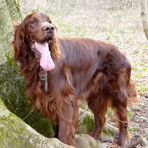 宜昌市一中_宜昌一中_宜昌市一中宣傳片