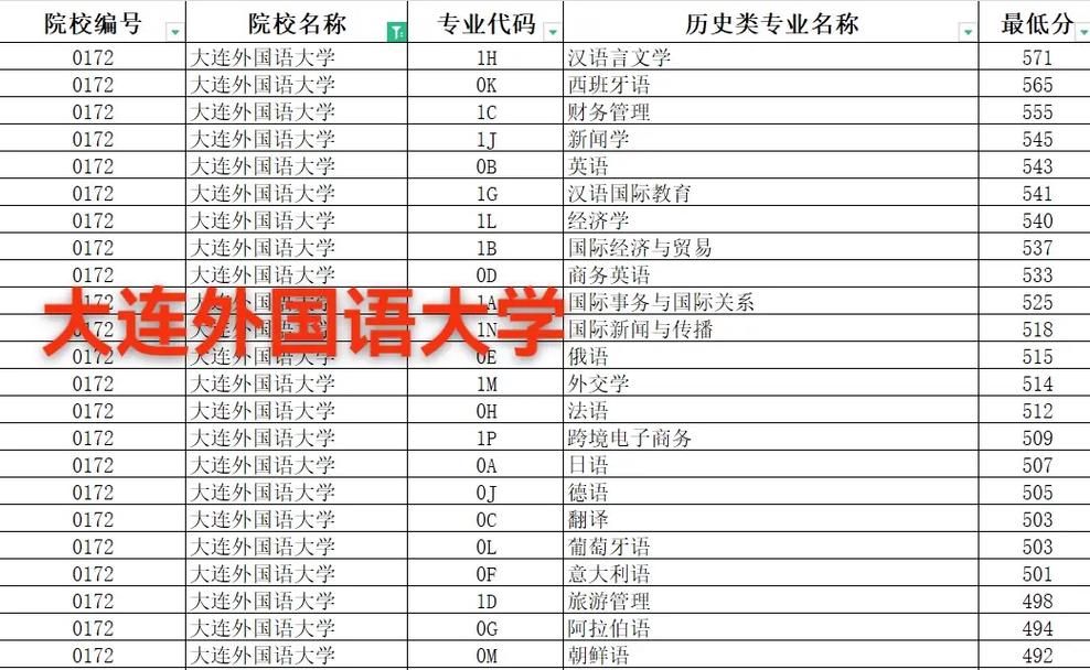 2024年大連外國語大學錄取分數線(2024各省份錄取分數線及位次排名)_大同市外國語學校小語種班分數線_大同市外國語學校歷年分數線