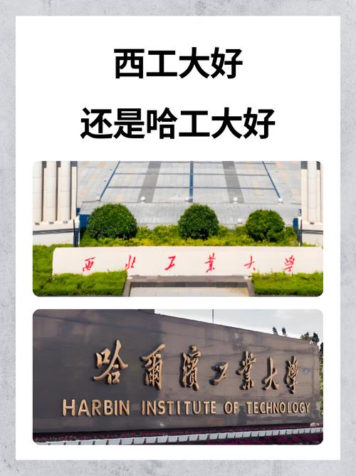 西北工業大學專業排名_西北大學專業排名_2025中國大學專業排名