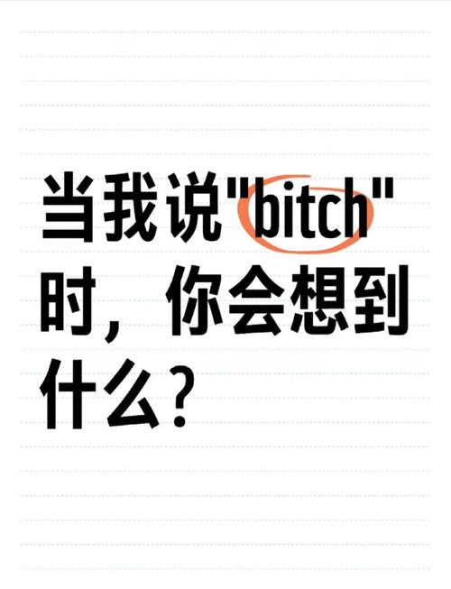  bitch 男性稱呼含義 _bitch的意思_bitch 俚語 使用方法 