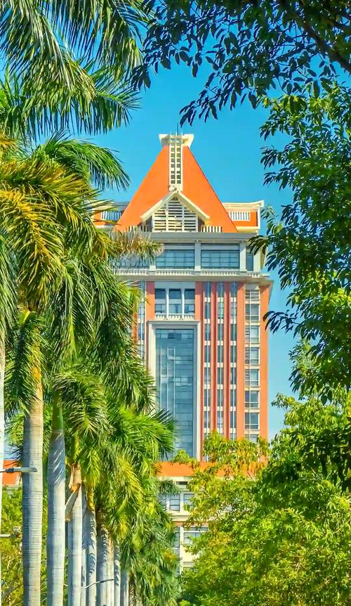 集美大學4+0國際本科招生_美國庫克大學_中美合作集美大學庫克大學項目