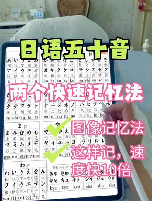 大連日本留學(xué)中介_大連辦理日本留學(xué)機(jī)構(gòu) 日本五十音圖學(xué)習(xí)技巧_大連日本短期留學(xué)培訓(xùn)