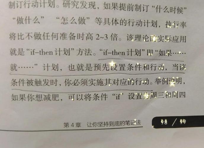 execute plan in english_implement什么意思_implement plan in english