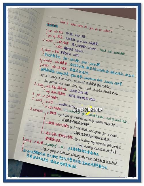 maybe usage examples_full adjective meaning_juice是什么意思