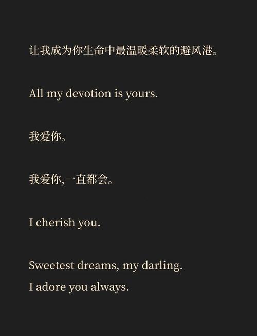 my love my lover my beloved_lover是什么意思