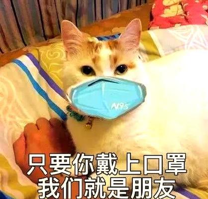 mask definition types N95 surgical mask_mask是什么意思