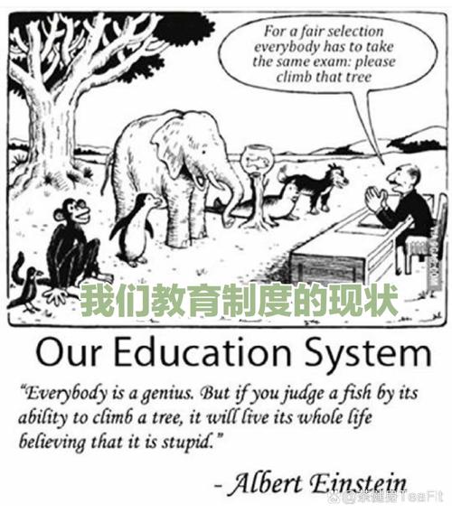 mistakes as teachers_mistakes是什么意思_learn from mistakes