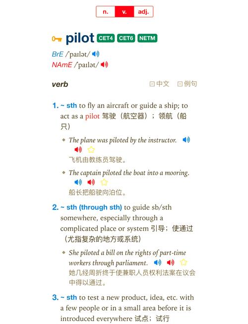 pilot的用法和例句_pilot作為動詞的用法_pilot是什么意思