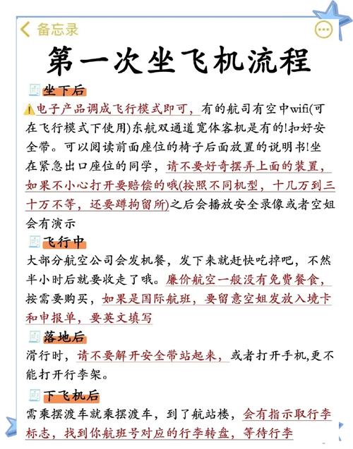 pilot是什么意思_pilot的用法和例句_pilot作為動詞的用法