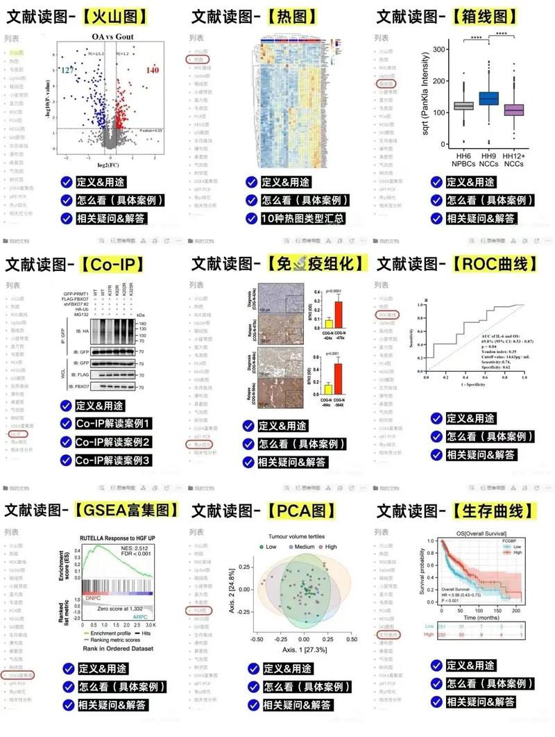 論文插圖類型_模型圖_plot是什么意思