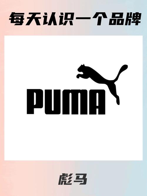 puma是什么意思_puma的詳細解釋_puma的含義