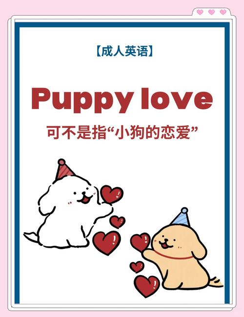 puppy pronunciation British and American English_puppy是什么意思_puppy definition and examples in English