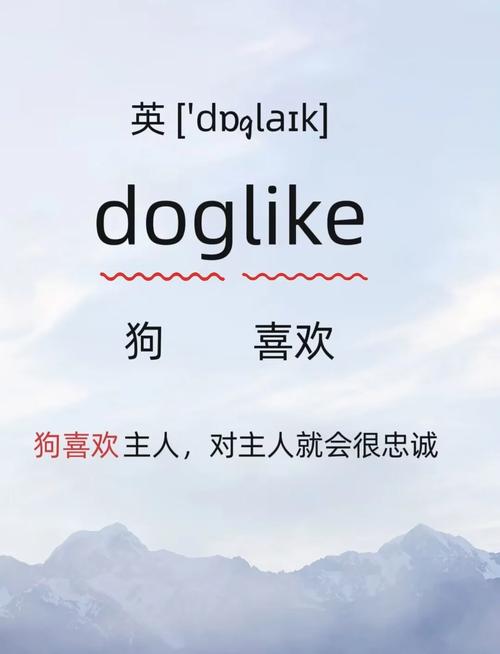 puppy pronunciation British and American English_puppy definition and examples in English_puppy是什么意思