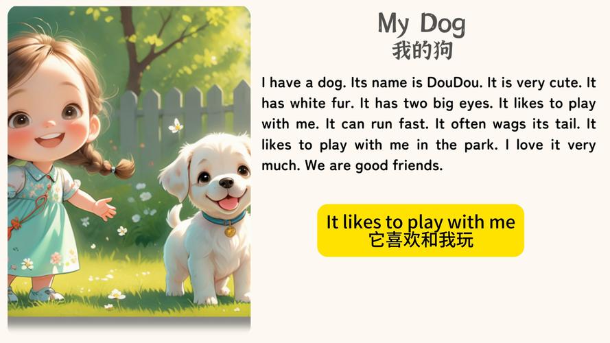 puppy definition and examples in English_puppy是什么意思_puppy pronunciation British and American English