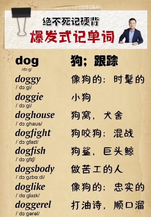 puppy是什么意思_puppy pronunciation British and American English_puppy definition and examples in English