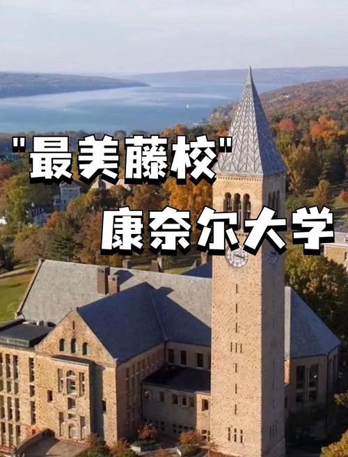 康奈爾大學(xué)優(yōu)勢專業(yè)介紹_康奈爾大學(xué)世界排名_康納爾大學(xué)