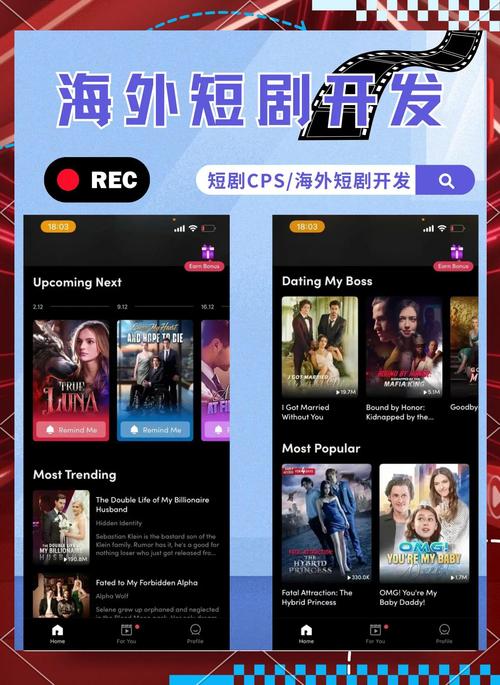 波蘭語(yǔ)翻譯軟件_智能翻譯官視頻翻譯_Potplayer視頻字幕翻譯