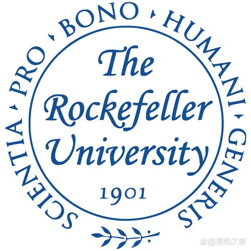 杜多特蒙德大學VI設計_杜多特蒙德大學標志設計_多特蒙德大學