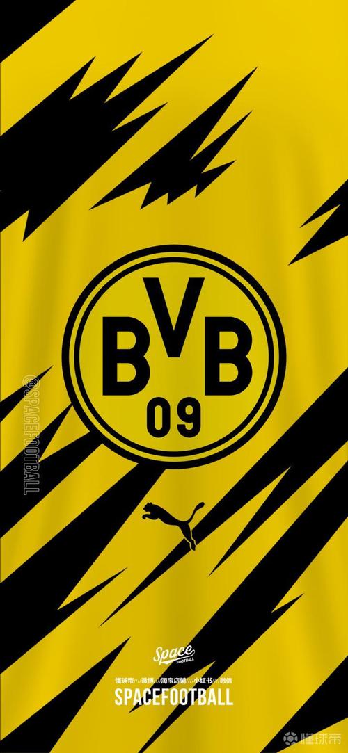 杜多特蒙德大學VI設計_杜多特蒙德大學標志設計_多特蒙德大學