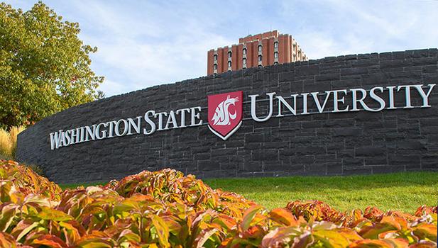 華盛頓大學與華盛頓州立大學專業對比_華盛頓州立大學_華盛頓大學與華盛頓州立大學區別