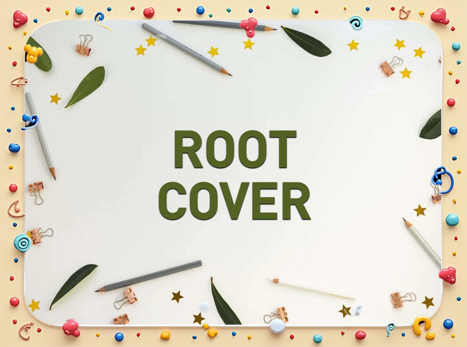 root word origin meaning example_root definition meaning noun verb dictionary_root是什么意思