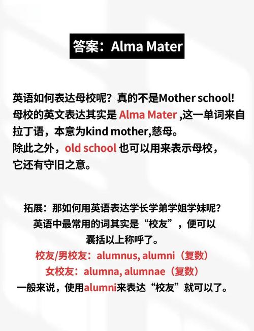 alma mater 校友校友 alumnus alumnae 學期semester term 上網課take an online class_semester是什么意思