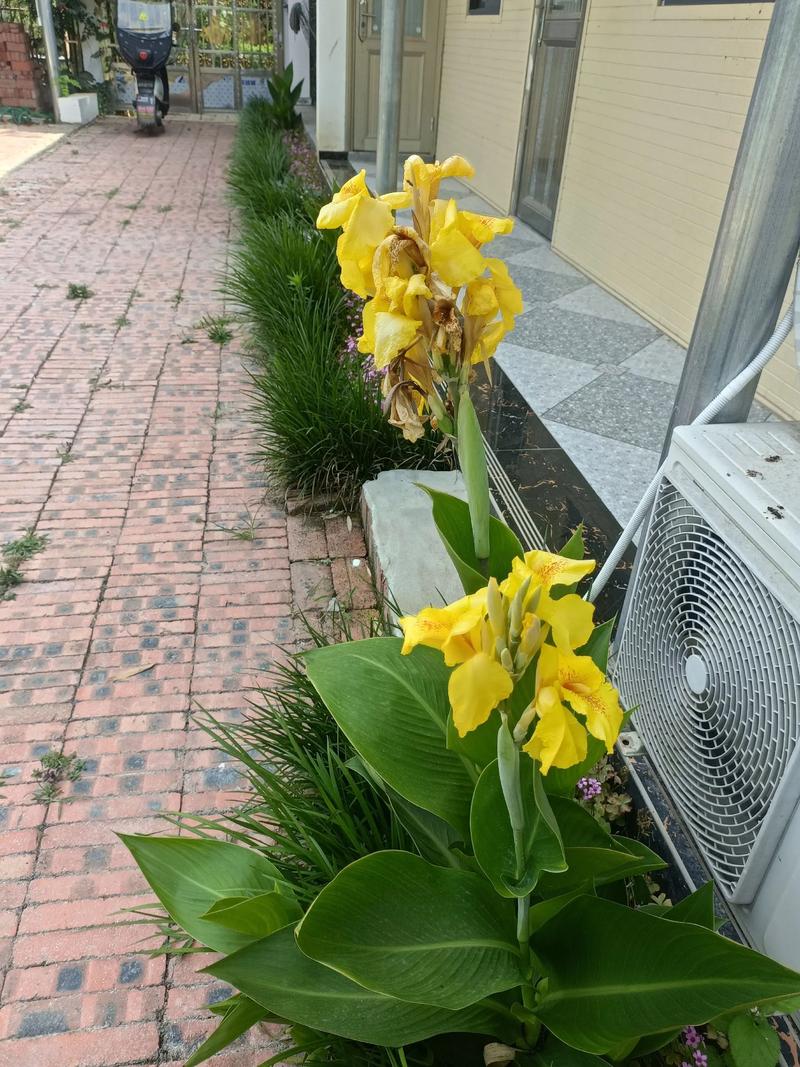 服裝搭配 英文_most awkward moment due to clothes_embarrassing clothes story