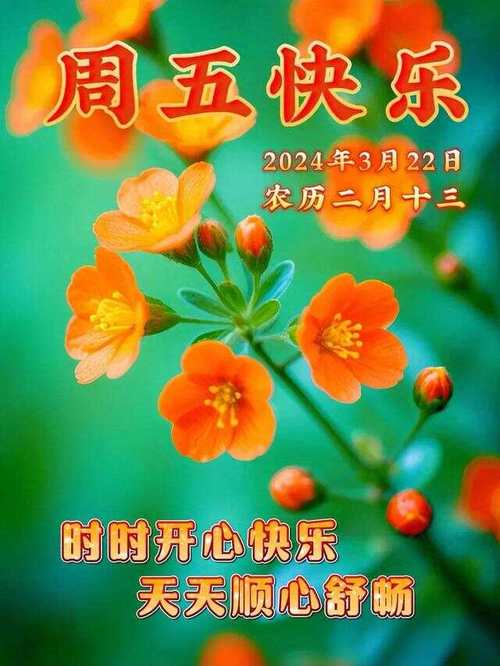 friday office worker happiness _friday magic day _歡樂時光英文