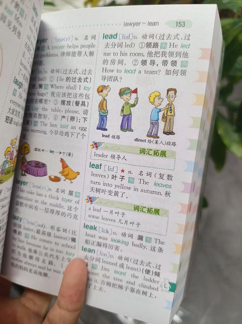 在線英文字典_在線英語詞典選擇_免費英文詞典推薦