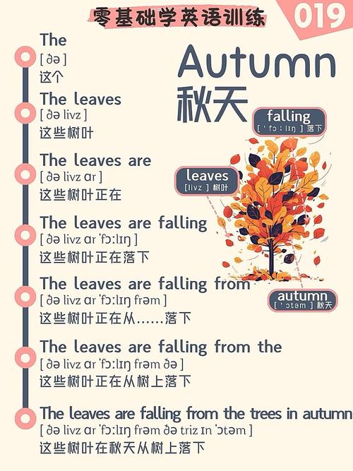autumn是什么意思中文_autumn mature period_autumn decline period