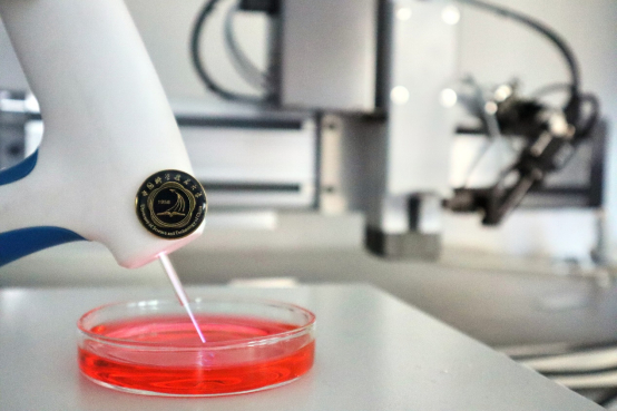 深圳瑞得福國際學校_深圳瑞得福國際學校 日內瓦發明展金獎 深圳瑞得福學校招生條件