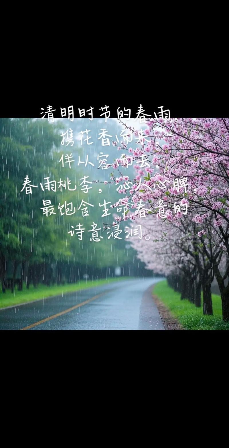 清明時節思念親人_清明節想親人的句子傷感_回憶與親人共賞花的時光