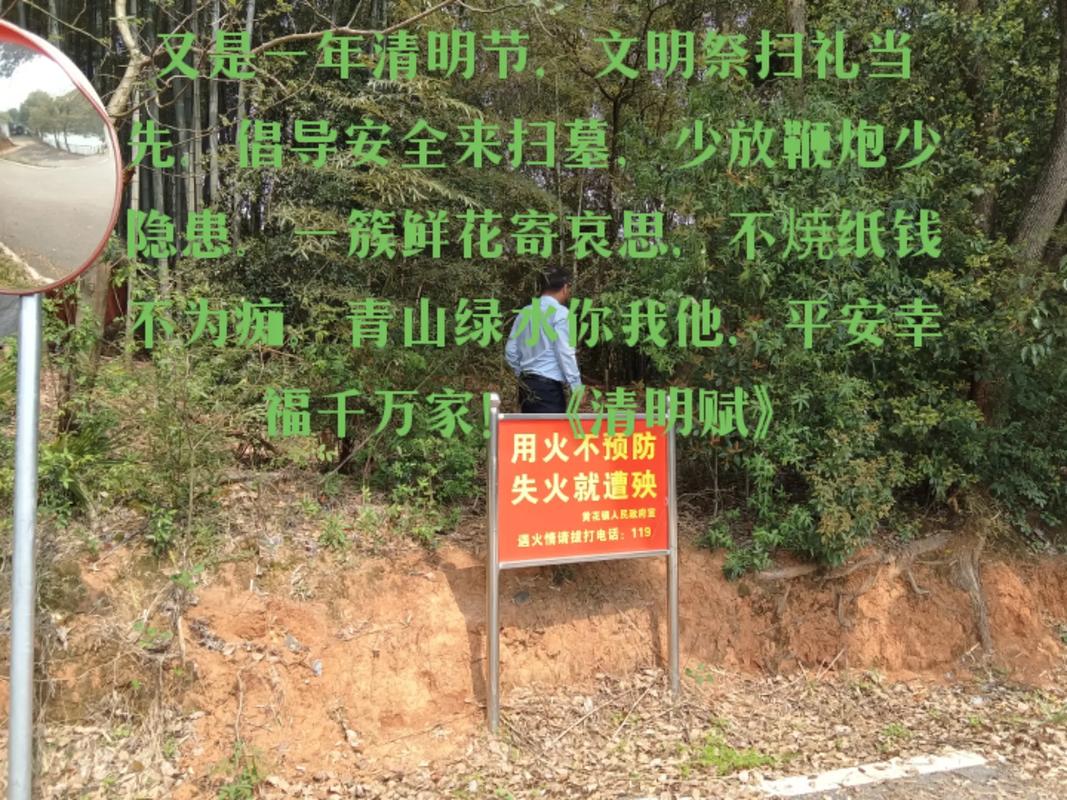 清明節作文300字左右免費_清明祭掃安全規定_清明節文明祭掃