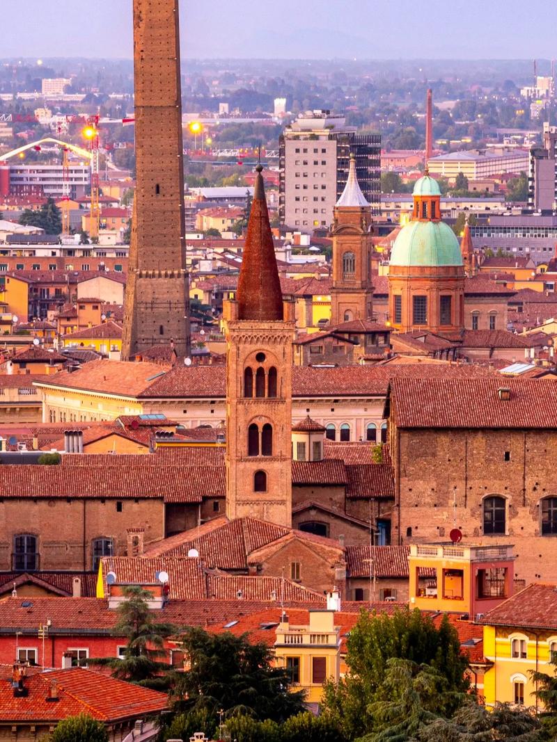 博洛尼亞大學歷史_博洛尼亞大學_博洛尼亞柱廊世界遺產(chǎn)