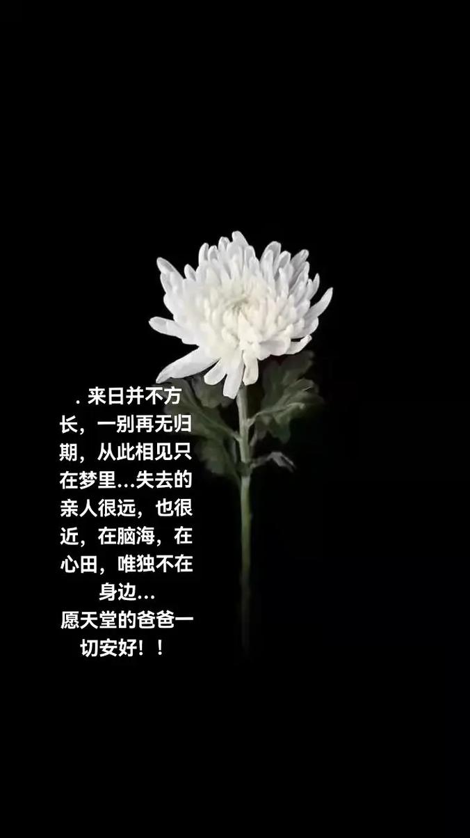 情商高安慰人去世的句子_親人離世愛永存_生死輪回愛不息