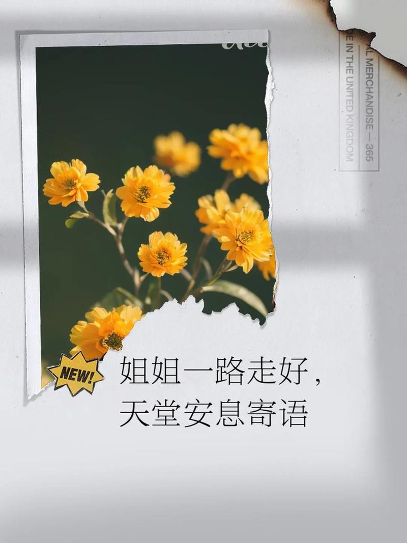 生死輪回愛不息_親人離世愛永存_情商高安慰人去世的句子